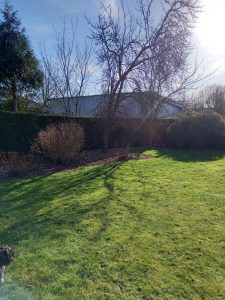 WhatsApp Image 2022-03-04 at 06.50.52