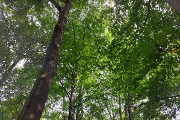 Ben jij wel genoeg geaard?