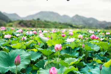 Emoties sneller loslaten als voornemen voor 2024